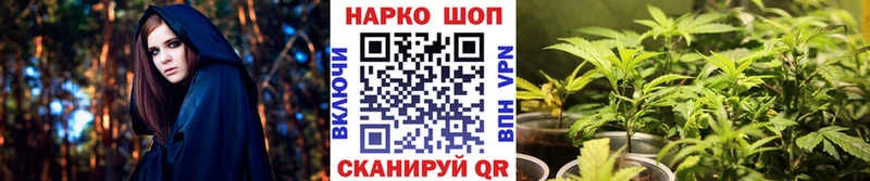 Названия наркотиков Назрань Гашиш  Alpha-PVP  Галлюциногенные грибы  Каннабис  БУТИРАТ  Амфетамин  Меф мяу мяу 