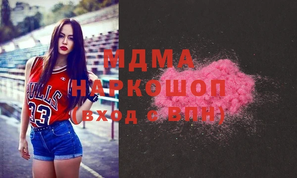 мдпв Бородино