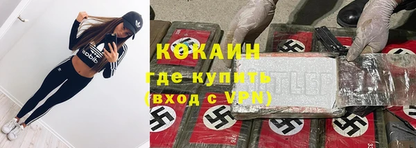 PSILOCYBIN Богородск