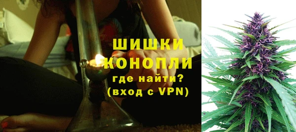 PSILOCYBIN Богородск