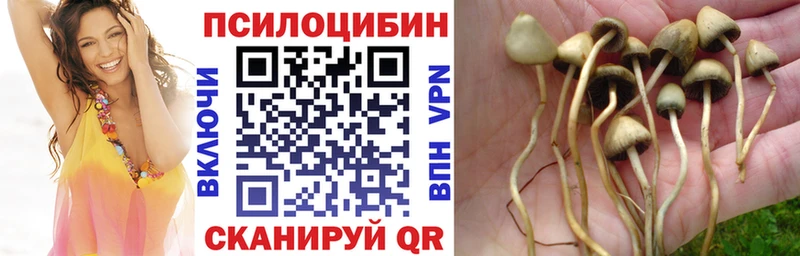 Галлюциногенные грибы мицелий  где купить наркотик  Назрань 
